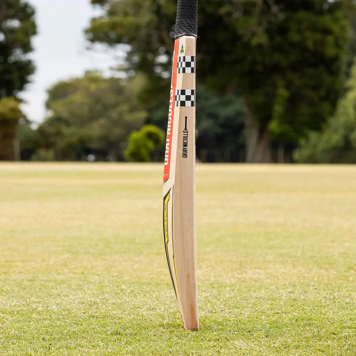 Gray Nicolls Victus 750 Play Now Adult Cricket Bat