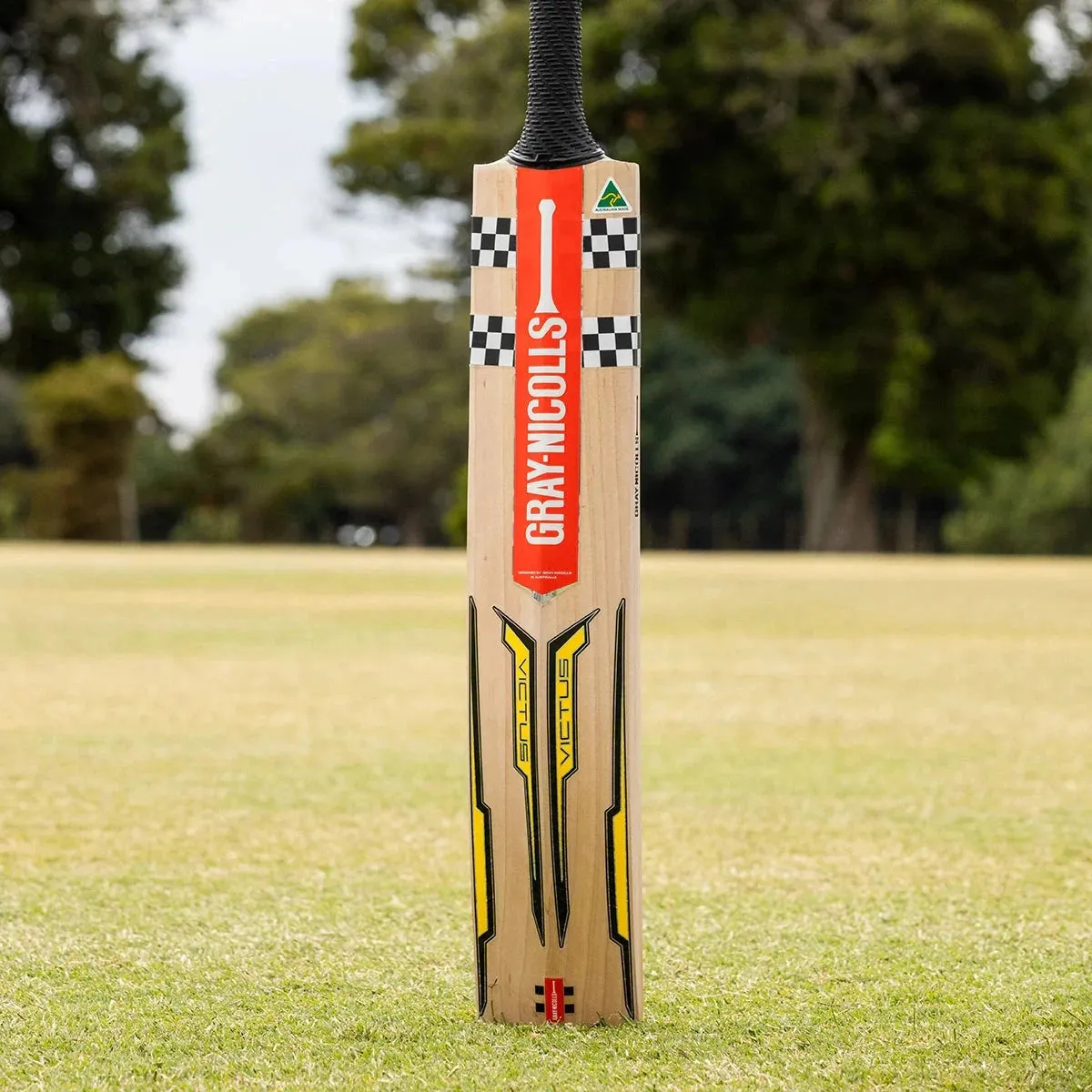 Gray Nicolls Victus 750 Play Now Adult Cricket Bat