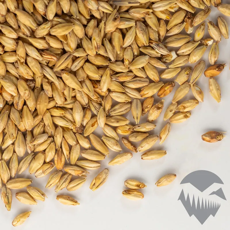 Victory Malt - Briess